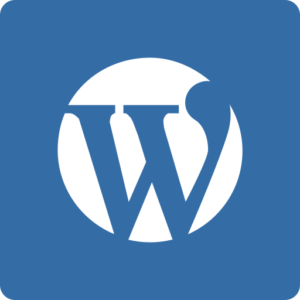 WordPress Theme